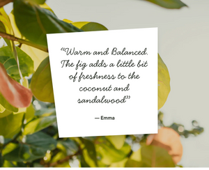 No 09 — Coconut Milk, Fresh Fig, Sandalwood DIY Candle Kit