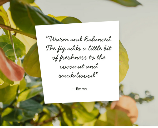 No 09 — Coconut Milk, Fresh Fig, Sandalwood DIY Candle Kit