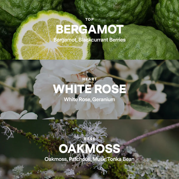 No 01 — Bergamot, White Rose, Oakmoss DIY Candle Kit