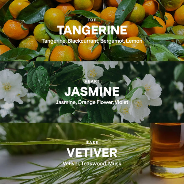 Scent No 03 - Tangerine, Jasmine, Vetiver DIY Candle Kit