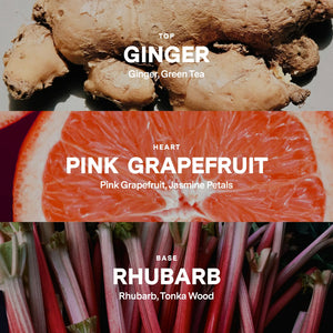 No 07 — Ginger, Pink Grapefruit, Rhubarb DIY Candle Kit