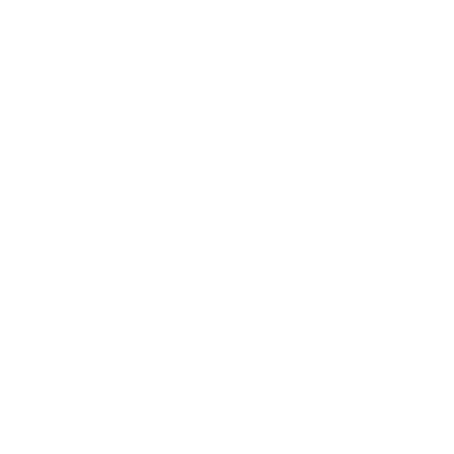 Merry Memory