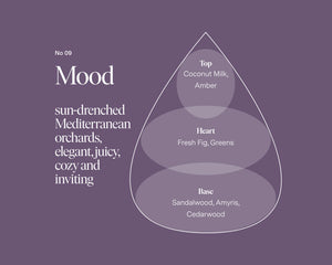 No 09 — Coconut Milk, Fresh Fig, Sandalwood DIY Candle Kit