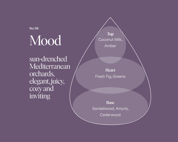 No 09 — Coconut Milk, Fresh Fig, Sandalwood DIY Candle Kit