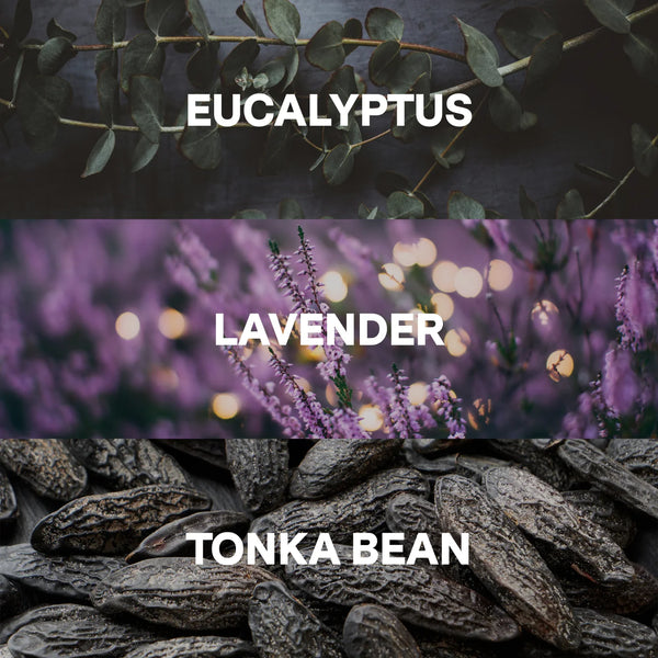 Sleep Shower Soap — Lavender, Eucalyptus, Tonka Bean