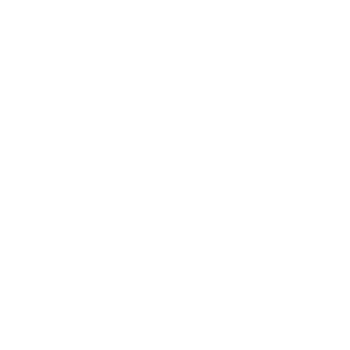 Merry Memory