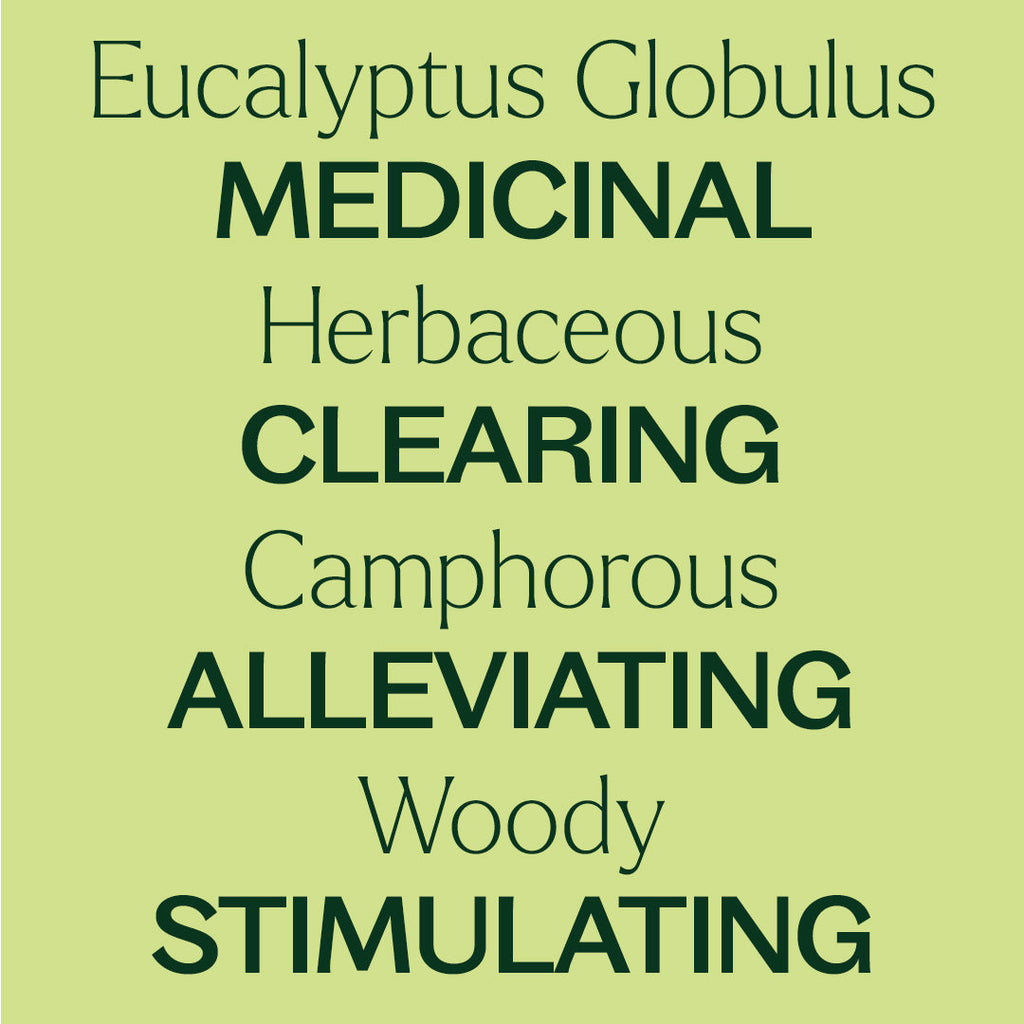Organic Eucalyptus Globulus 5-Pack