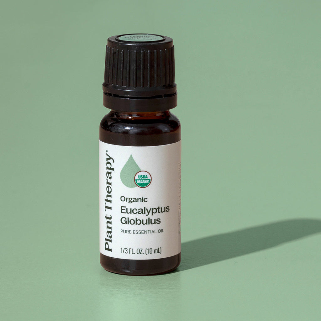 Organic Eucalyptus Globulus 5-Pack
