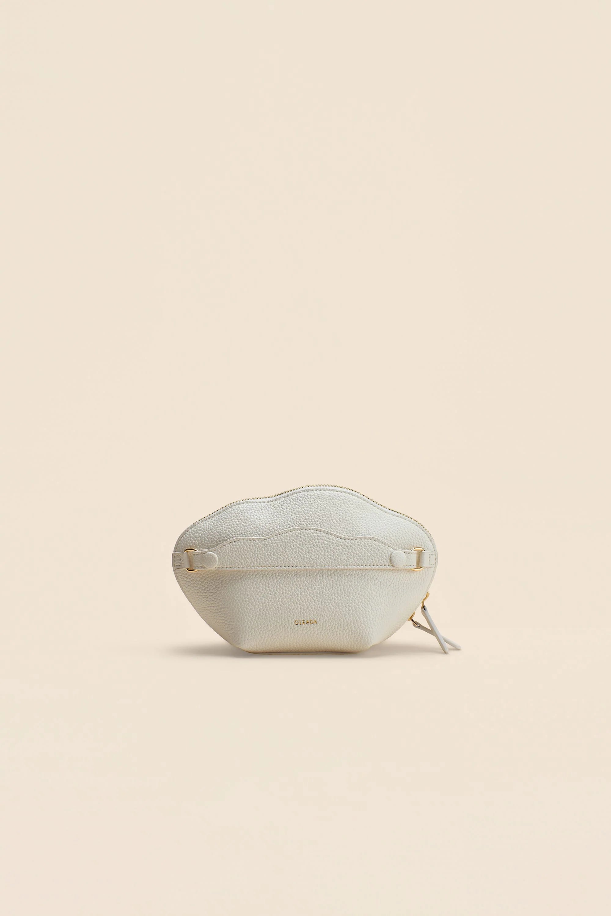 The Dream Pouch